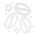 Nutrient-Rich Beans icon image data.